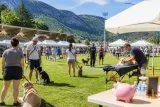 À Castellane, la fête du chien réunit familles et professionnels et récolte 1 200 € pour Louspoir