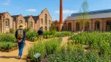 À Cholet, le jardin du musée du Textile révèle les plantes qui servaient à teindre les tissus