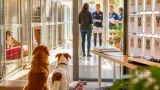 À Évreux, la SPAE met en lumière ses animaux en attente d’une famille