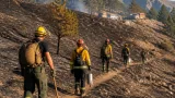 À Freissinières, chasseurs et habitants arpentent les pentes pour dénicher les points chauds