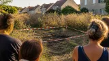 À Marsangy, la mort d’un marcassin familier suscite l’émotion et une plainte de la SPA