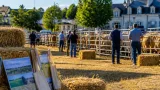 À Morlaàs, le salon de l’Élevage met en lumière une filière confrontée à une crise du fourrage