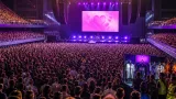À Nanterre et Levallois, le karaoké géant rallume la ferveur autour de Céline Dion