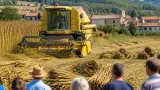 À Raucoules, le chanvre se cultive en vue de bâtir une filière locale
