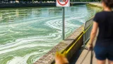 Alençon : la Ville met en garde contre la prolifération de cyanobactéries dans la Sarthe