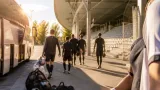 Angers-SCO attendu en Bretagne : un groupe presque au complet pour défier Lorient