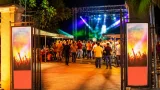 Anie Alerte pour la première fois en Martinique : concert au Vilaj' Péyi (Lamentin)