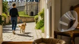 Arras : Vaya, la chienne blessée près de la citadelle, retrouve son foyer