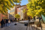 Bormes‑les‑Mimosas sacré « Village préféré des Français 2026 », un coup de projecteur sur le Var
