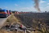 Bouqueval (95) : un cortège de mariage provoque un incendie qui détruit 12 hectares