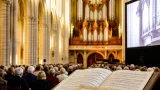 Bourges : concert d’orgue dimanche à la cathédrale autour de Versailles et du Grand Siècle