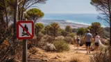 Canicule : l’Aude placé en alerte rouge feu de forêt, vigilance orange pour les températures
