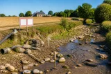 Canicule : le Cantal place plusieurs bassins en situation de crise et renforce les restrictions d’eau