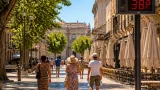 Canicule : le Vaucluse sous un soleil implacable, jusqu’à 38 °C attendus