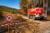 Canicule, sécheresse et risque incendie : les Vosges sous vigilance renforcée