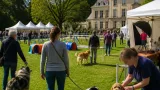 Châtenay-Malabry : le parc de l’Hôtel de Ville accueille « Tout pour mon toutou » le 3 octobre