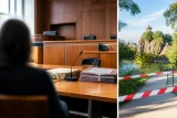 Chaumont — Affaire des Buttes‑Chaumont : l'auteur condamné à 27 ans de réclusion