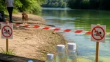Cyanobactéries sur l’Aveyron : baignade et animaux fortement déconseillés à proximité de Saint-Antonin