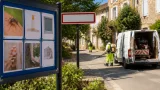 Des cas autochtones de chikungunya signalés dans la basse vallée du Lot, dont Prayssac