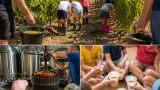 Des maternelles de Fleury-d’Aude aux vendanges : immersion au domaine Combe des Ducs