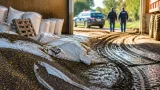 Deux tonnes de colza dérobées dans une grange à Magnant : l’exploitation porte plainte