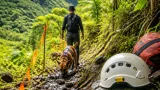 En Guadeloupe, le mantrailing se développe pour aider à retrouver des disparus en milieu difficile