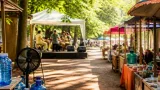 Épinal : la fête de la diversité gagne l'ombre du parc des Vues face à la canicule