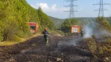 Feu de broussailles à Mouchan : 750 m² brûlés, la haute tension pointée du doigt