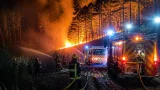 Feu de forêt à Saint‑Romain : une sapinière et une friche partis en flammes, intervention massive des pompiers