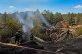 Feu en forêt de Fontainebleau : près de 200 pompiers mobilisés pour contenir un foyer aux gorges d'Apremont