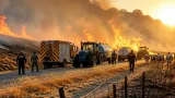 Huit feux déclenchés le long de la D52 à Bièvres : plusieurs hectares ravagés, une enquête ouverte