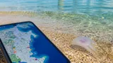 Hyères : signalements limités de méduses près de la presqu’île de Giens ce week‑end