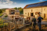 Ils ont quitté la ville pour rebâtir une ferme bio à Sellières et retrouver leur qualité de vie
