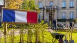 Le Département relance le « Chèque-Arbre 71 » pour booster les plantations jusqu’à fin septembre