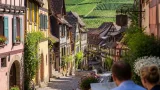 Le Haut‑Rhin plébiscité par The Telegraph : un « coup de cœur » qui flatte la Route des Vins