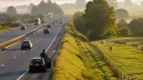 Mâcon : sur l’A6, l’odeur de bœuf charollais attire des conducteurs