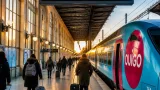 Nancy : retour de Ouigo le 13 décembre, mais deux TGV Inoui remplacés