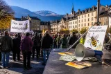 Néonicotinoïdes : la SAPN alerte et appelle à manifester à Gap contre leur réintroduction