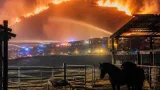 Nuit d'alerte en Haute-Vienne : près de 30 hectares partis en fumée, quatre chevaux décèdent