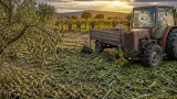 Orage de grêle ravageur à Mérindol‑les‑Oliviers : récoltes d'olives et vignes durement touchées