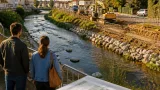 Oullins-Pierre-Bénite : la restauration du Sanzy annoncée, quelles attentes pour la rivière ?