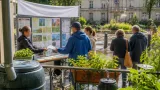 Périgueux mobilise les habitants et propose une aide pour lutter contre le moustique tigre