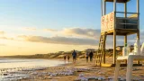 Physalies : remontée sur la côte, plages fermées et consignes de prudence