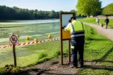 Plusieurs plans d'eau de la Creuse fermés à la baignade en raison d'une prolifération de cyanobactéries