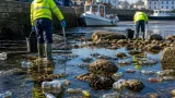 Près de 200 bouteilles de liquide suspect ramassées dans l’arrière-port du Guilvinec