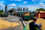 Récoltes 2026 : la moisson a démarré, la coopérative d’Hanvec gère 4 000 tonnes par an