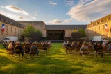 Rodez : une fan zone prévue au haras si les Bleus atteignent la finale le 19 juillet