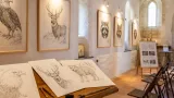 Saint-Paul — Une semaine d'instants animaliers à la chapelle Saint‑Paul