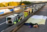 Toulouse : 18 mois de prison pour l’homme qui avait jeté les deux chiens de sa compagne depuis un pont