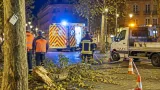 Toulouse : un homme de 77 ans meurt après la chute d’une branche place du Ravelin